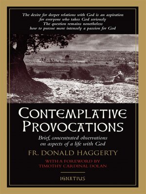 cover image of Contemplative Provocations